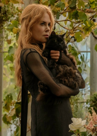 Filmplakat: Practical Magic 2, Preview am 09.09. ca. 20: 00 Uhr